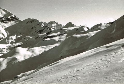 Trofeo Parravicini 1962