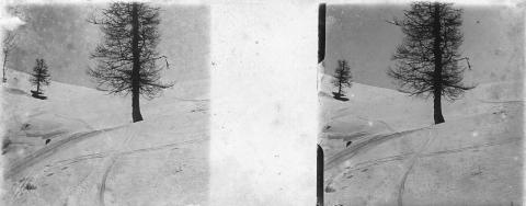 "Torcola, Rambasi e Manina"