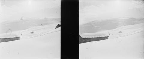 "Grem e Golla" viste invernali