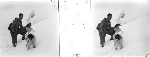 "Fopp (Fop), Gemelli (cane)"