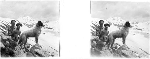 "Fopp (Fop), Gemelli (cane)"