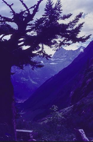 Kröntenhütte - Kronten (3108)