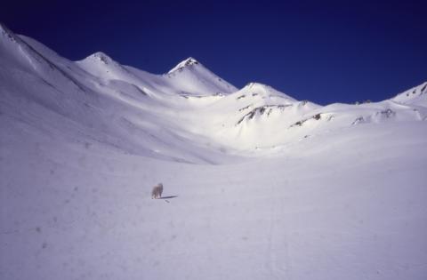 Pizzo Blaisun - 8-3-1997