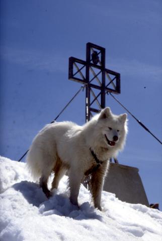 Pizzo dei Tre Signori