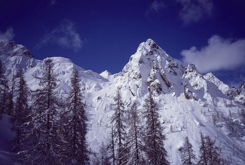 Strada per il Calvi - 17-04-1999
