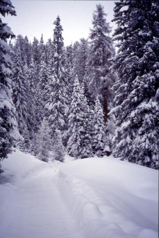 Mathon, Beverin Pintg - 07-02-1999