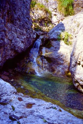 Valle Ancogno (Valtorta)  15-8-2012