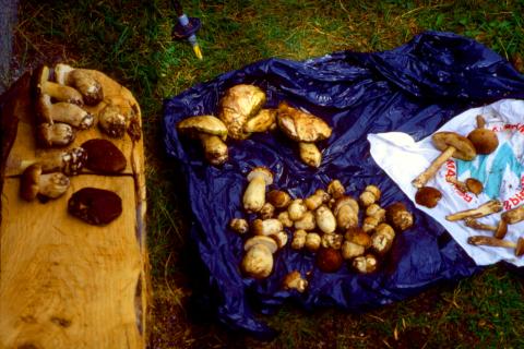 Monte Tartano. 16-09-2012