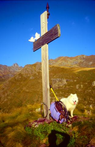 Piani dell'Avaro e Cima Mincuccio  6-10-2012