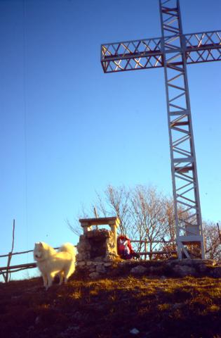 13-11-12011 - Monte Succhello