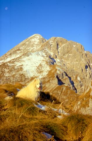 15-11-2011 - Cima di Leten