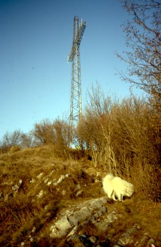 01-01-2012 - Canto Alto e Monte di Nese