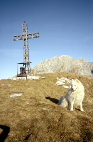 23-11-2011 - Foppazzi, Grem e Golla