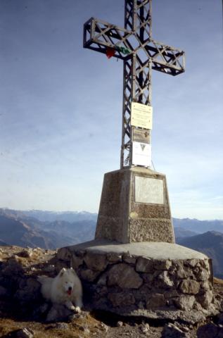 26-11-2011 - Monte Alben