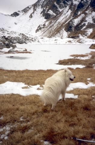10-12-2011 - Foppa, Mincuccio, laghi Ponteranica ed Avaro
