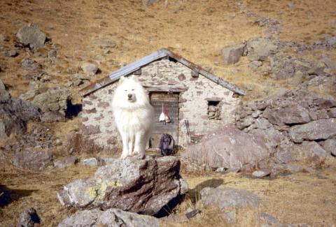 10-12-2011 - Foppa, Mincuccio, laghi Ponteranica ed Avaro