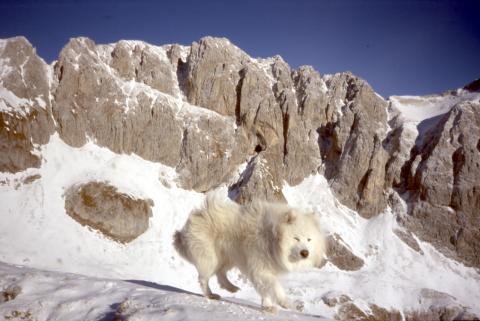 21-01-2012 - Corzene