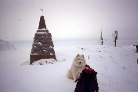 18-01-2012 - Zucco Orscellera