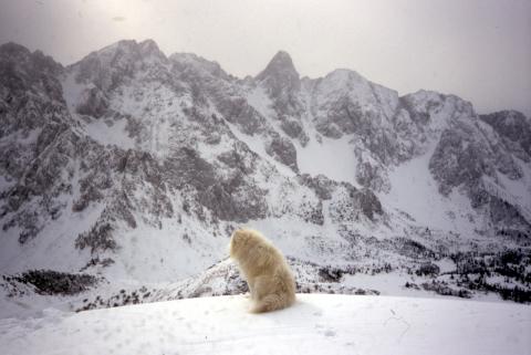 7-02-2012 - Monte Campione, Campelli