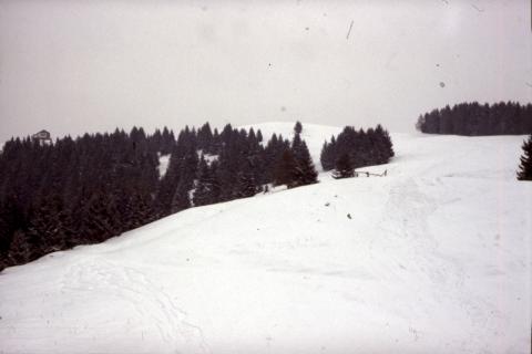 12-02-2012 - Monte Alto (Pora), Magnolini