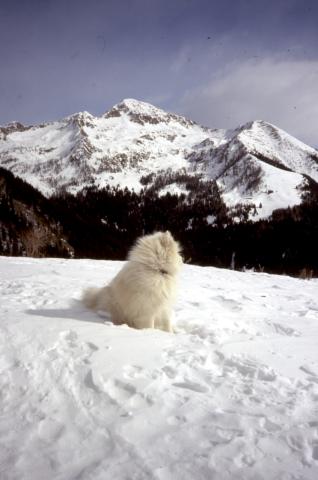18-02-2012 - San Simone