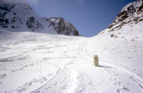 11-03-2012 - San Simone