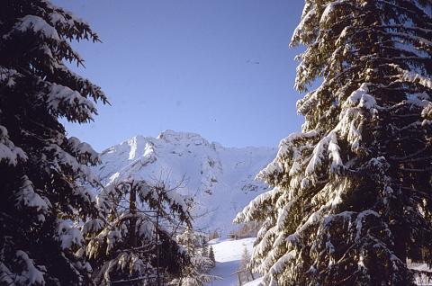 Cima dei Siltri, Forcella Rossa, San Simone
