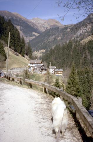 01-04-2012 - Pizzo Badile da Valleve	