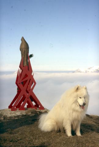 10-04-2012 - Passo Baciamorti, Araralta, Sodadura