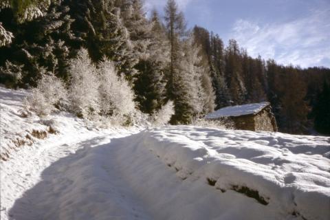 14-04-2012 - Rifugio Calvi	