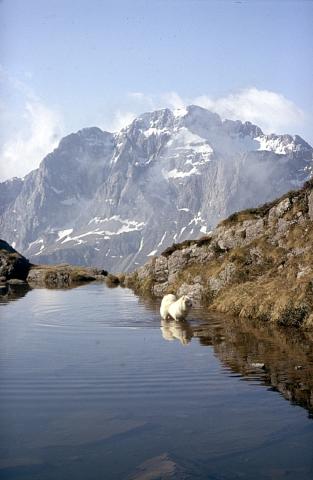 Valcanale, quota 2230, lago Gallina		