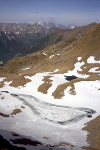 Corno Stella