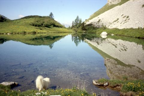 Monte Cavendola e lago Spigorel
