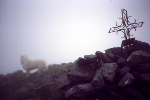 Pescegallo e Cima Valletto