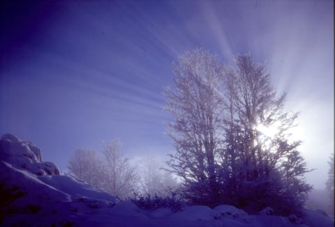 18-12-2002 - Monte Cancervo