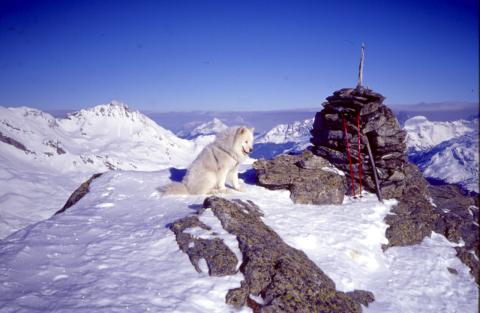 01-03-2003 - Cima di Lago
