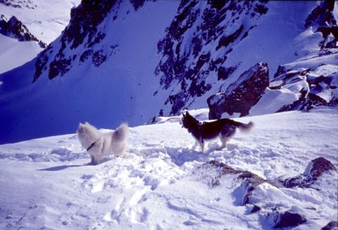 05-03-2003 - Piz Kesch