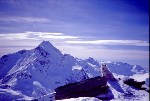 12-03-2003 - Guggernull
