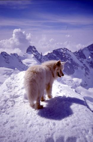 29-03-2003 - Cima di Rosso