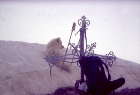 11/05/03 - Corno Stella