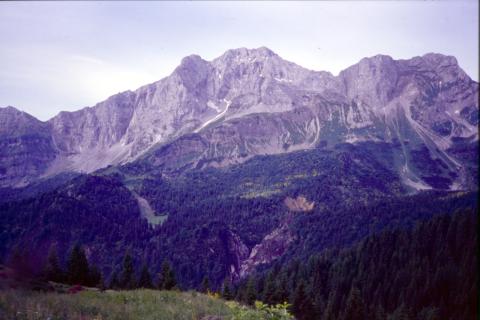 15/06/03 - Cima Campagano