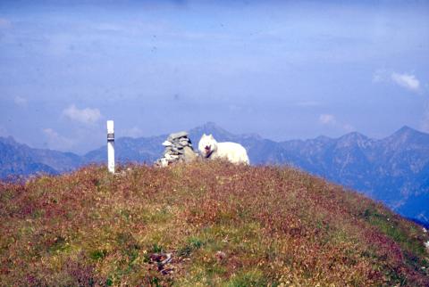 08-07-03 - Monte Fioraro