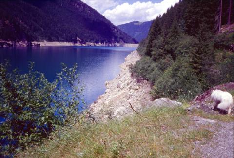 "23-07-03 - Monte Nembra e Telenek	"