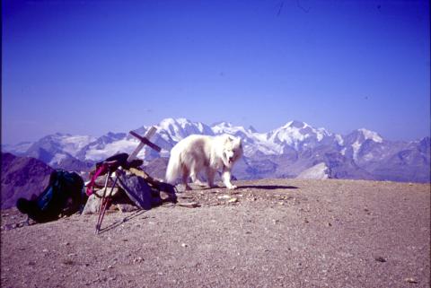 09-08-03 - Piz La Stretta