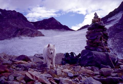 30/08/2003 - Vedretta del Campo (Livigno)