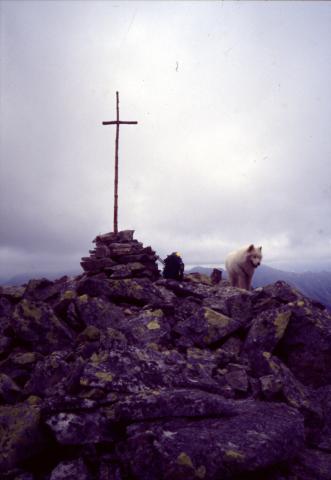 01/09/2003 - Pizzo Trevisina (Livigno)