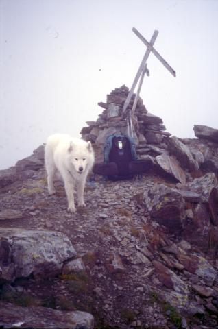 09/09/2003 - Monte Redival