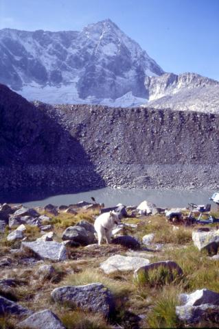10/9/2003 - Rifugio Garibaldi