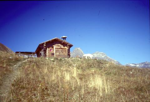 14/9/2003 - Monte Motto (Livigno)