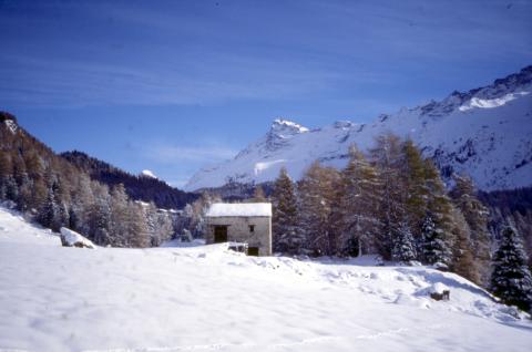 09-11-2003 - Rifugio Saoseo